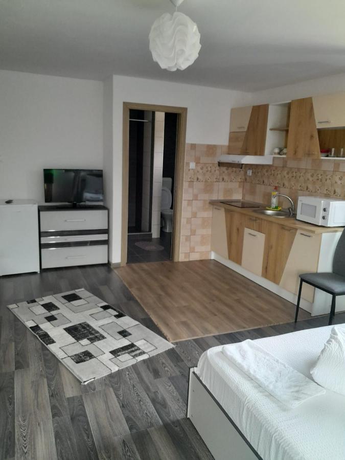 Apartamente Ambrus E Studio 21 Praid Buitenkant foto